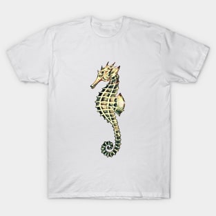 Seahorse drawing T-Shirt